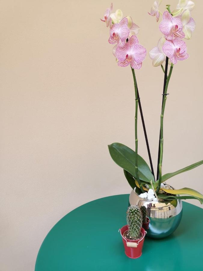 Margherita Boutique Rooms Margherita di Savoia Kültér fotó